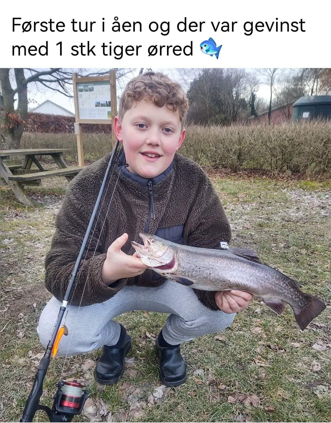 Kildeørred fra Fannerup