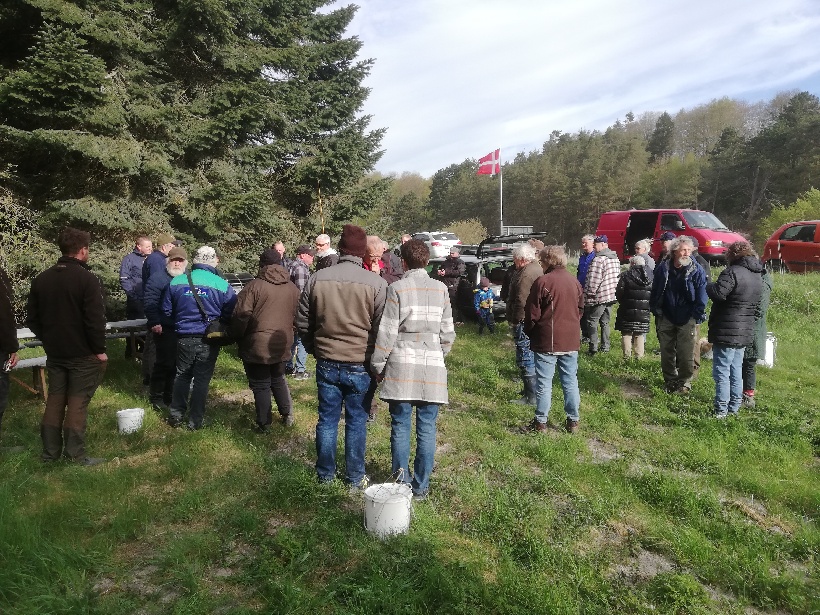 Tilmelding store gedde dag 2023
